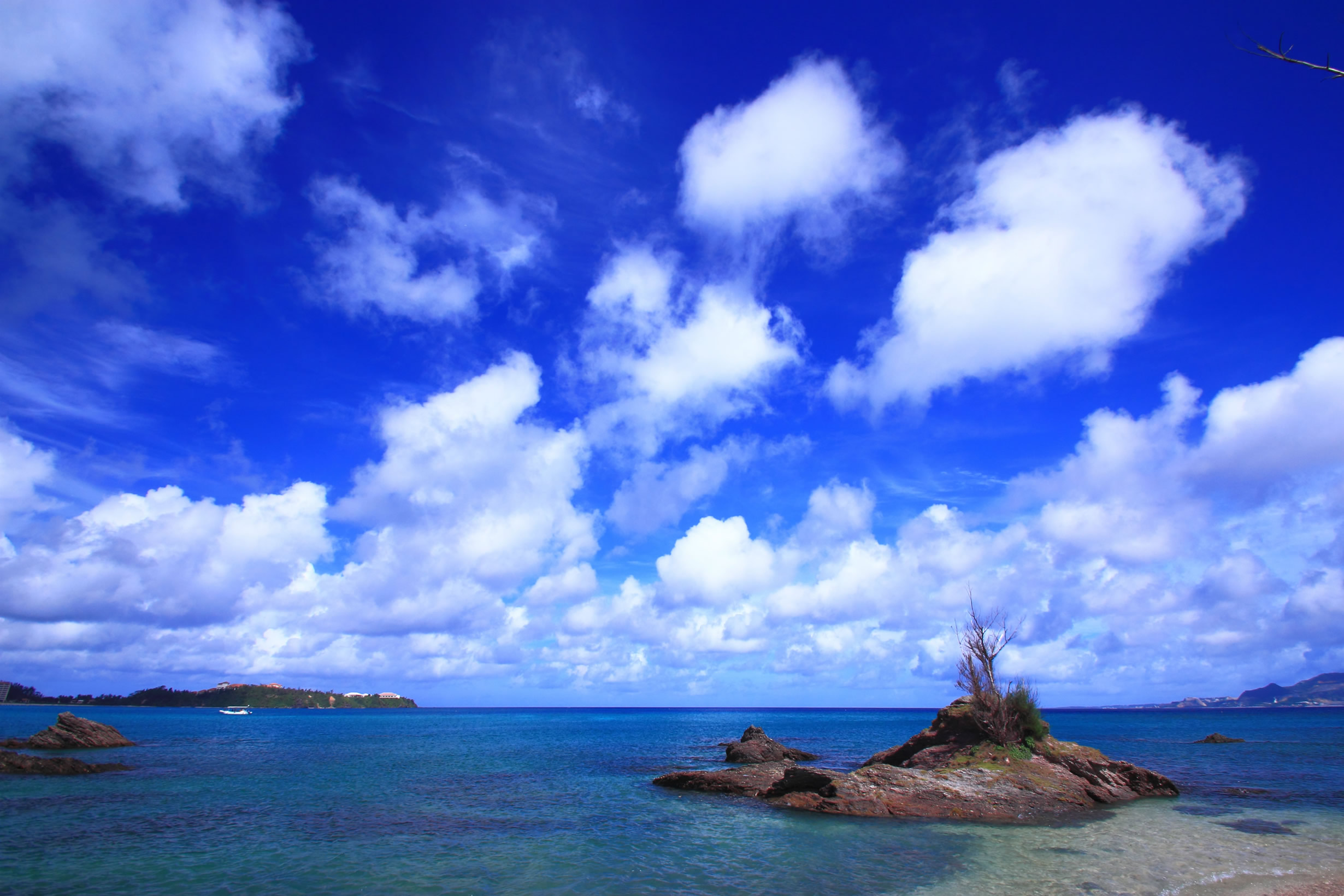 photo by 琉球ナビ