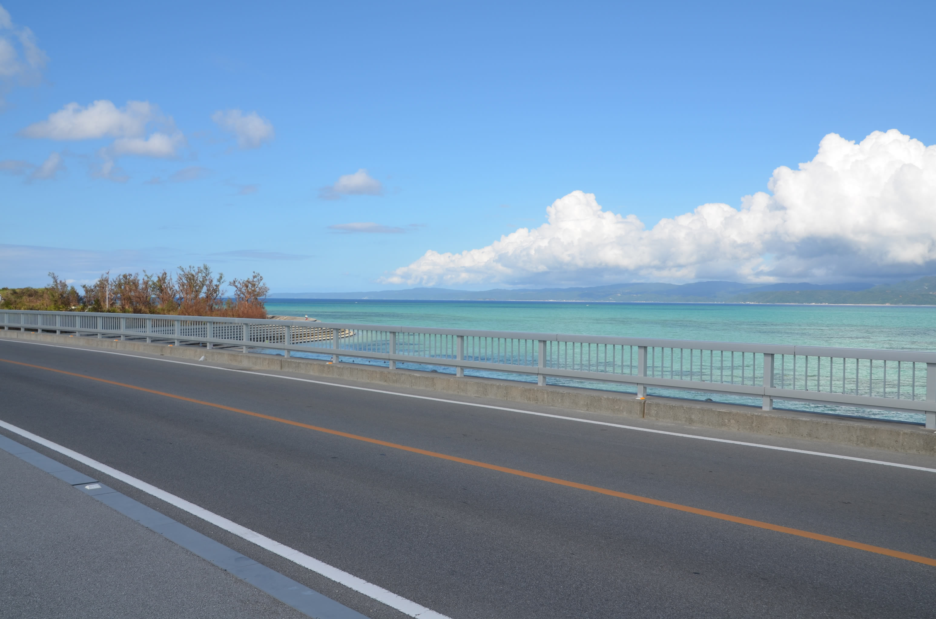 Photo By 琉球ナビ