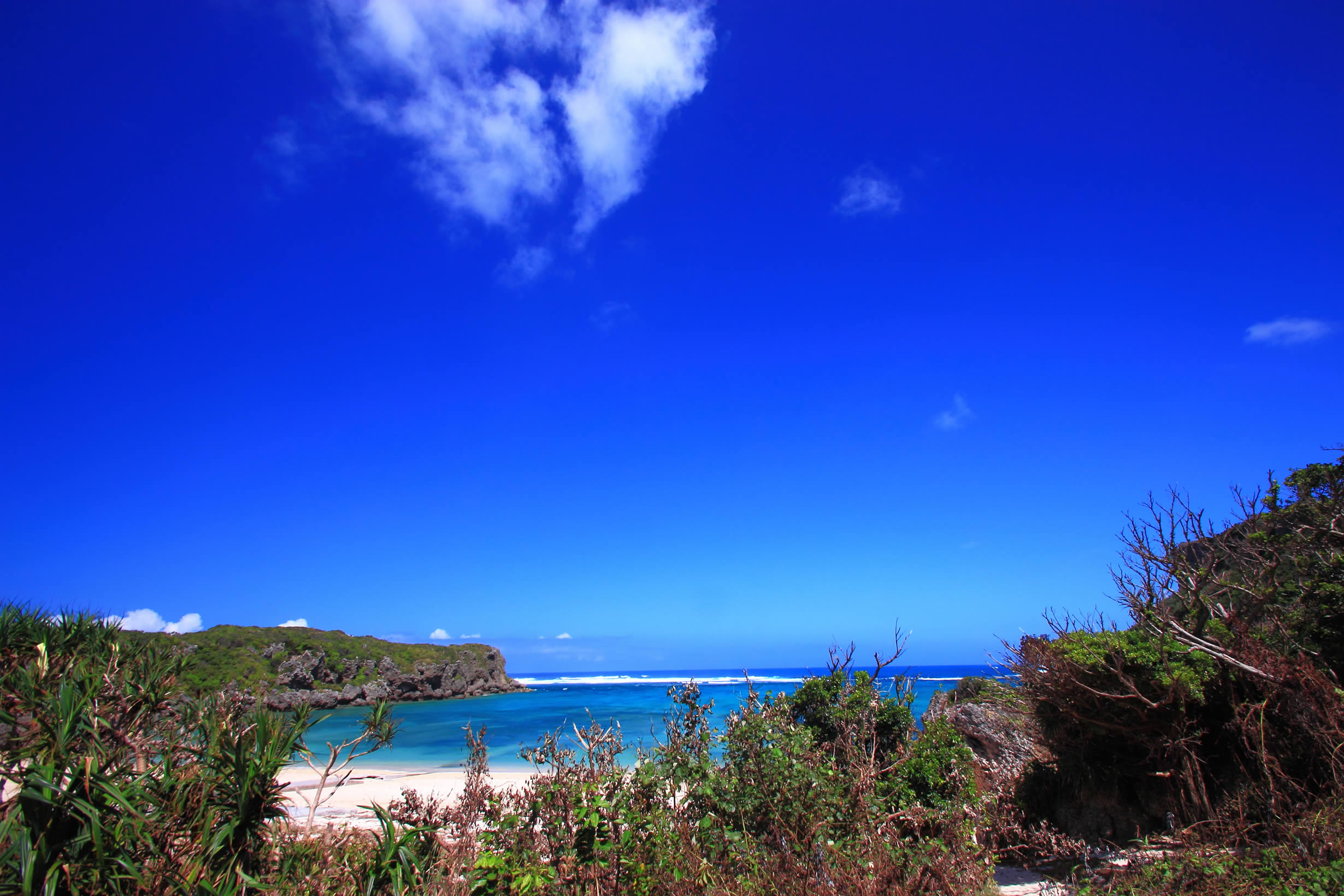 photo by 琉球ナビ