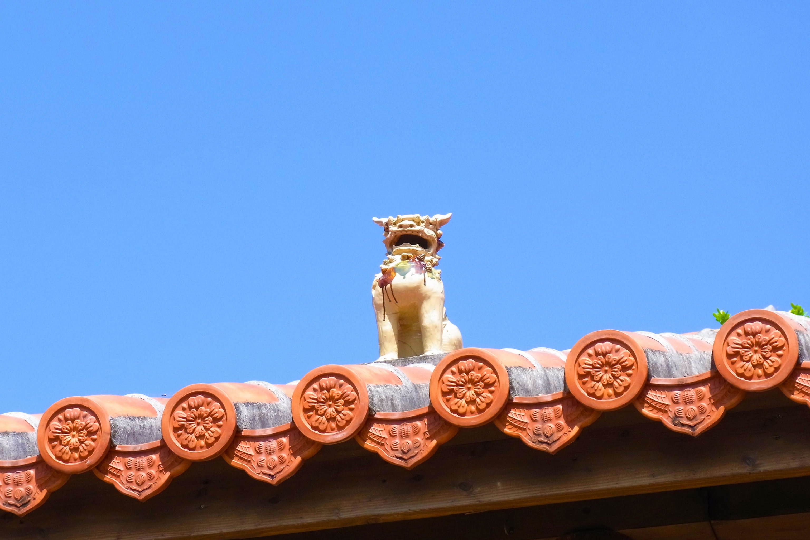 Photo By 琉球ナビ