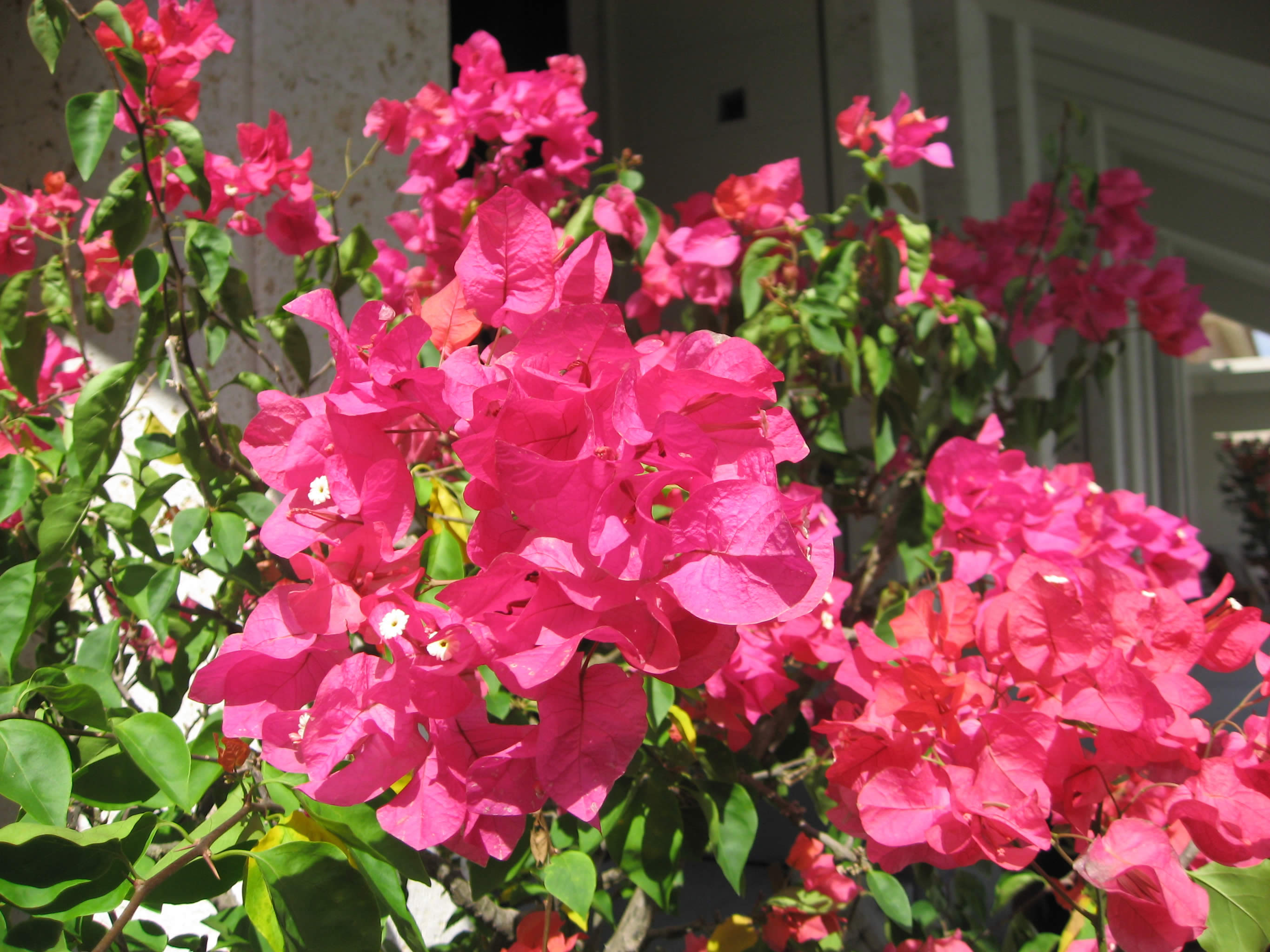 photo by 琉球ナビ