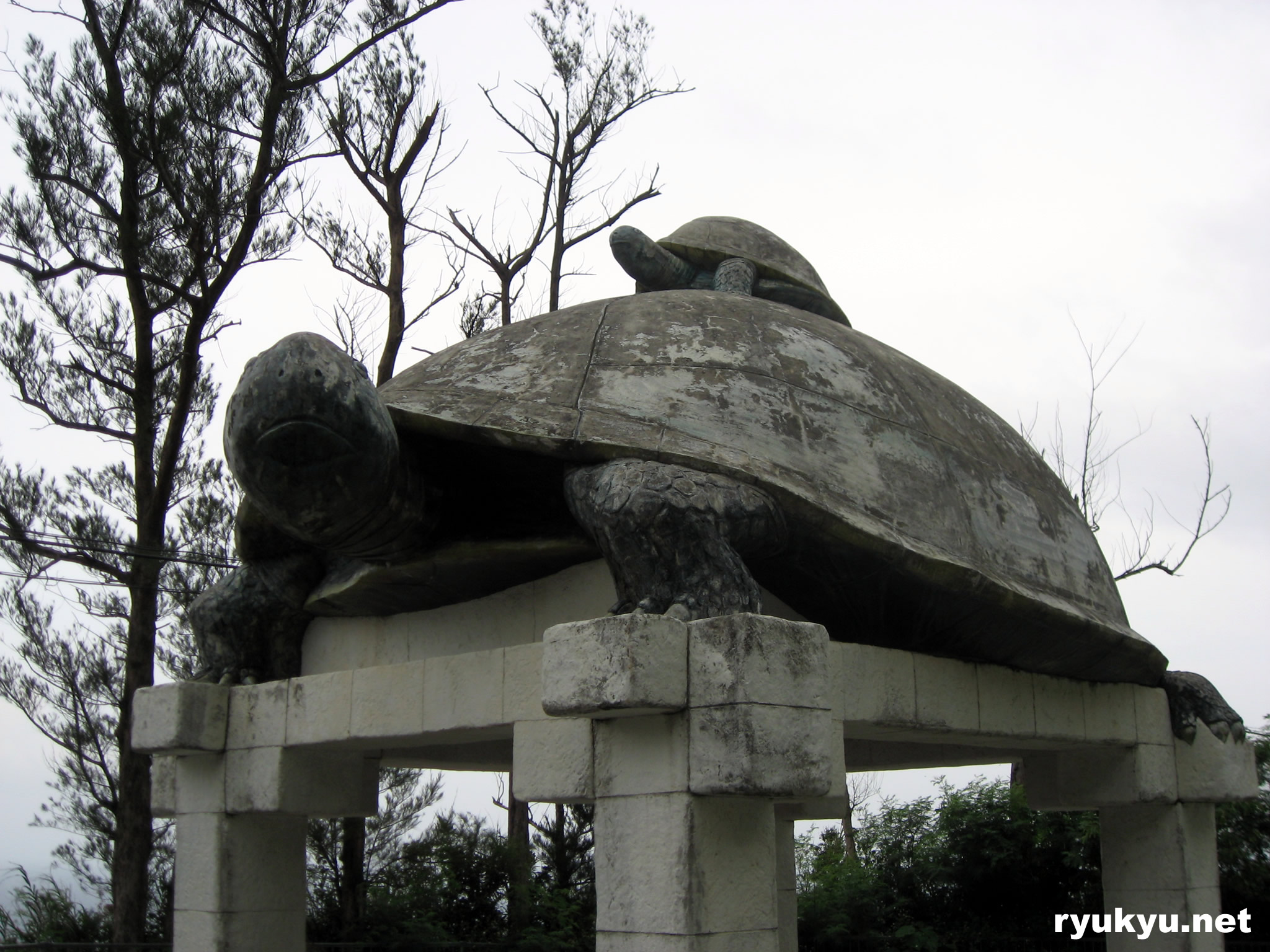 国頭村[国道７０号沿い]