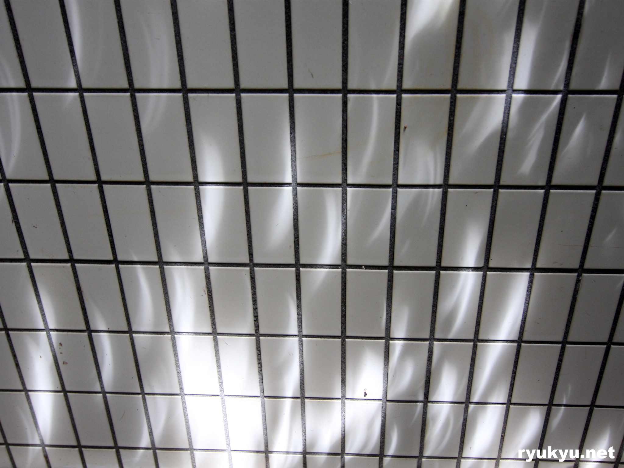 部分日食の木漏れ日