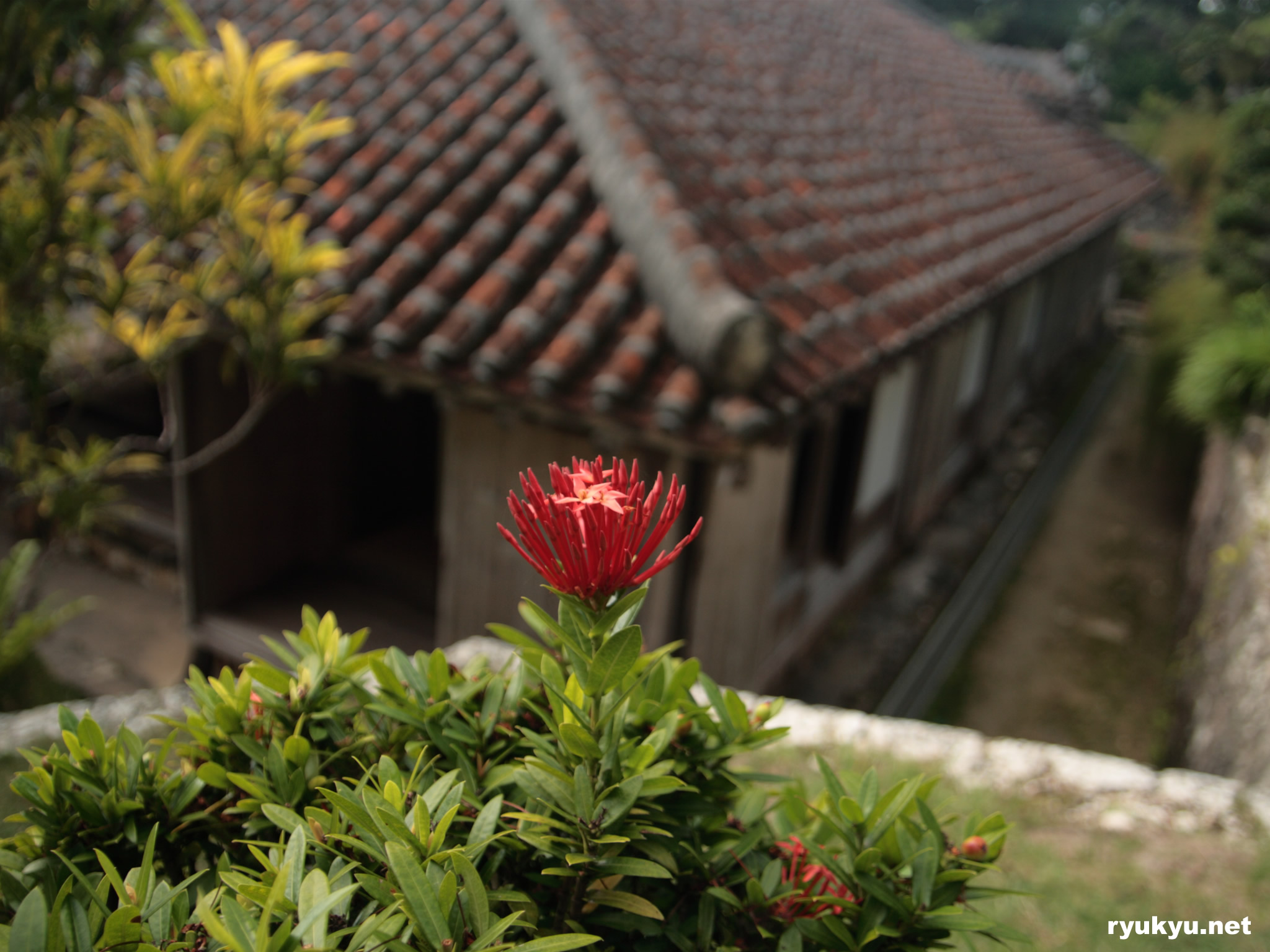 中村家住宅［国指定重要文化財］