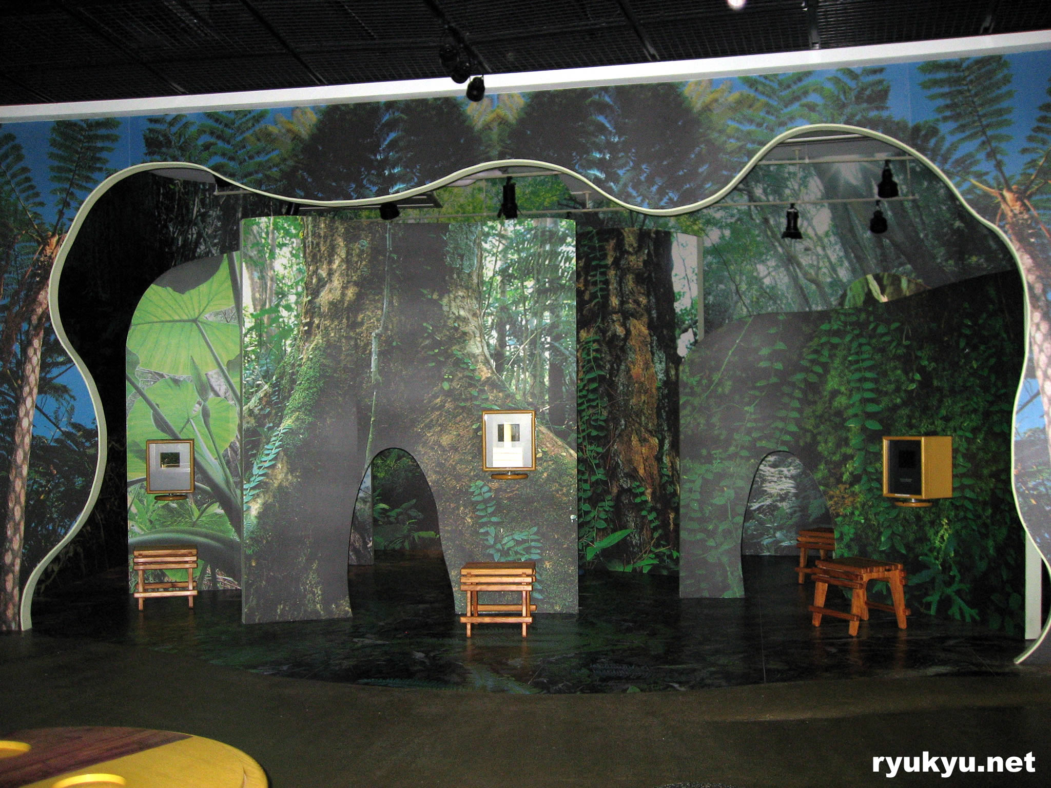 やんばる野生生物保護センター