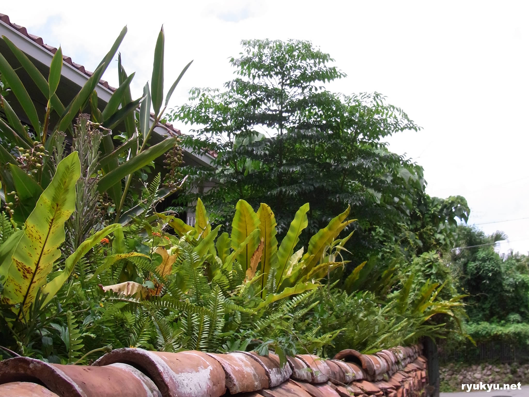 那覇[首里地区]